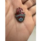 Значок. Всегда Готов 2 степени