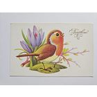 Пешехонов 1989 Поздравляю