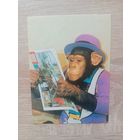 Календарик 1992