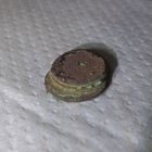 Слепыш, спайка, пирожок солидов, боратинок