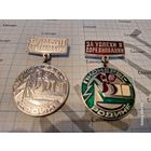 2 пионерских награды За успехи в соревновании "Миллион Родине!" (цена за оба)