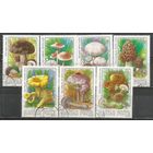 Венгрия. Грибы.1984г. Mi#3708-14. Серия.