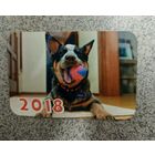 Календарик карманный пес с мячом 2018