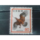 Япония, 1973. Беркут