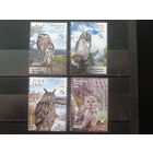 Беларусь, 2008. Совы