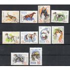 Собаки СССР 1965 год серия из 10 марок