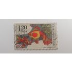 Чехословакия 1975. Аквариумные рыбки.