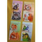 Детская филателия. Домашние питомцы Фауна Беларусь 2025 **