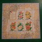Россия 1999. Розы. Блок