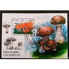 АНГОЛА 2018 ФАУНА животные млекопитающие  ПТИЦЫ РЫБЫ  БЛОК сто