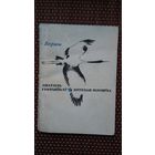 Анатоль Грачанікаў. Круглая плошча