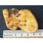 Сувенир из ссср янтарь  распродажа коллекции