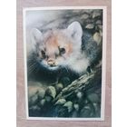 Исаков 1989,чистая