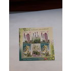 Марки Беларусь 2011 Цветы