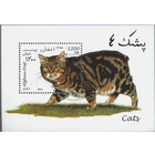 Фауна Кошки Афганистан /AFGHAN 1997