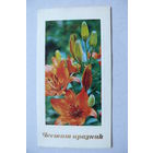 Илиев Р.(фото), С праздником; двойная, чистая (изд. Болгария).