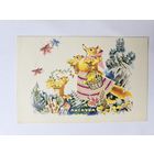 Бялковская 1968 Лисички сказка