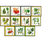 Беларусь 2004 флора плоды деревьев Стандарт Восьмой стандартный выпуск самоклеящейся бумаге серия **