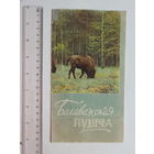 Буклет  Белавежская пушча 1960 г