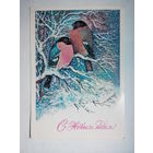 Манилова Л. С Новым годом! 1979 год #0052-NG1P26