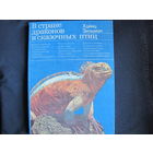 Хайнц Зильман. В стране драконов и сказочных птиц (серия "Дикая манящая природа")