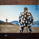 Pink Floyd - Delicate Sound Of Thunder / 2LP