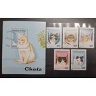 Республика Гвинея. 1998 год. Фауна. Кошки. Блок и 5 марок (765)