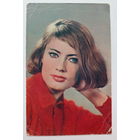 Артисты. Виктория Федорова. а516