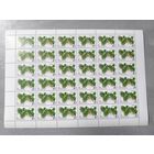 1987 СССР. Флора СССР - Папоротники. Сальвиния плавающая. Лист