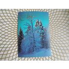 Открытка СССР 1980 год. Подписана. А.Лучинина .Состояние на скане.Тираж 1 млн.