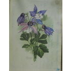 ПОДПИСАННАЯ ОТКРЫТКА ПРОШЕДШАЯ ПОЧТУ СССР. ОРЛИК ОЛИМПИЙСКИЙ (ВОДОСБОР) худ. И. РОМАНОВ.1958 год.