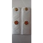 Погоны государственного советника таможенной службы РБ 3 ранга белые накладные