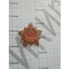 Участнику парада 60 лет освобождения Беларуси 2004 г без клипсы