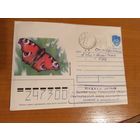 Последние провизории СССР - БССР редкий перевернутый провизорий Светлогорск Гомель обл фауна бабочка насекомые