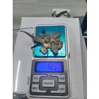 Лом серебра