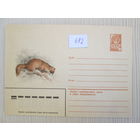 Конверт СССР с млекопитающим, лот 692