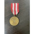 Знак медаль Польша Победы и Свободы 1945 KRAJOWA RADA NARODOWA