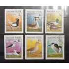 Венгрия. 1980 год. Фауна. Птицы (338)