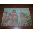 Крым 1989 год Чистая