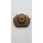 Кокарда вооруженные силы Россия*