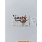 Испания   2008