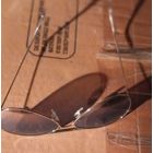 Очки мужские,солнцезащитные.Б.У.