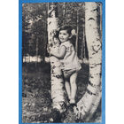 Яковлева Г. Девочка и березка. Фотооткрытка. 1964 г. Чистая