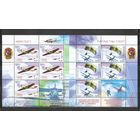 ФФ2 Беларусь 2009 Парашютный спорт