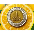 Египет. 1 фунт 2024. Нечастая монета! Торг.