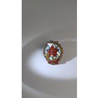 Знак Осоавиахим СССР коллекционное состояние, с рубля