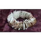 Браслет из ракушек морской.