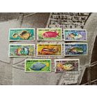 1967 ОАЭ эмират Умм-эль-Кайвайн фауна моря (4-7)