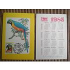 Карманный календарик. Филателия. Попугай. 1985 год