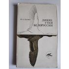 Ю. А. Вязович. Дикие утки Белоруссии.
